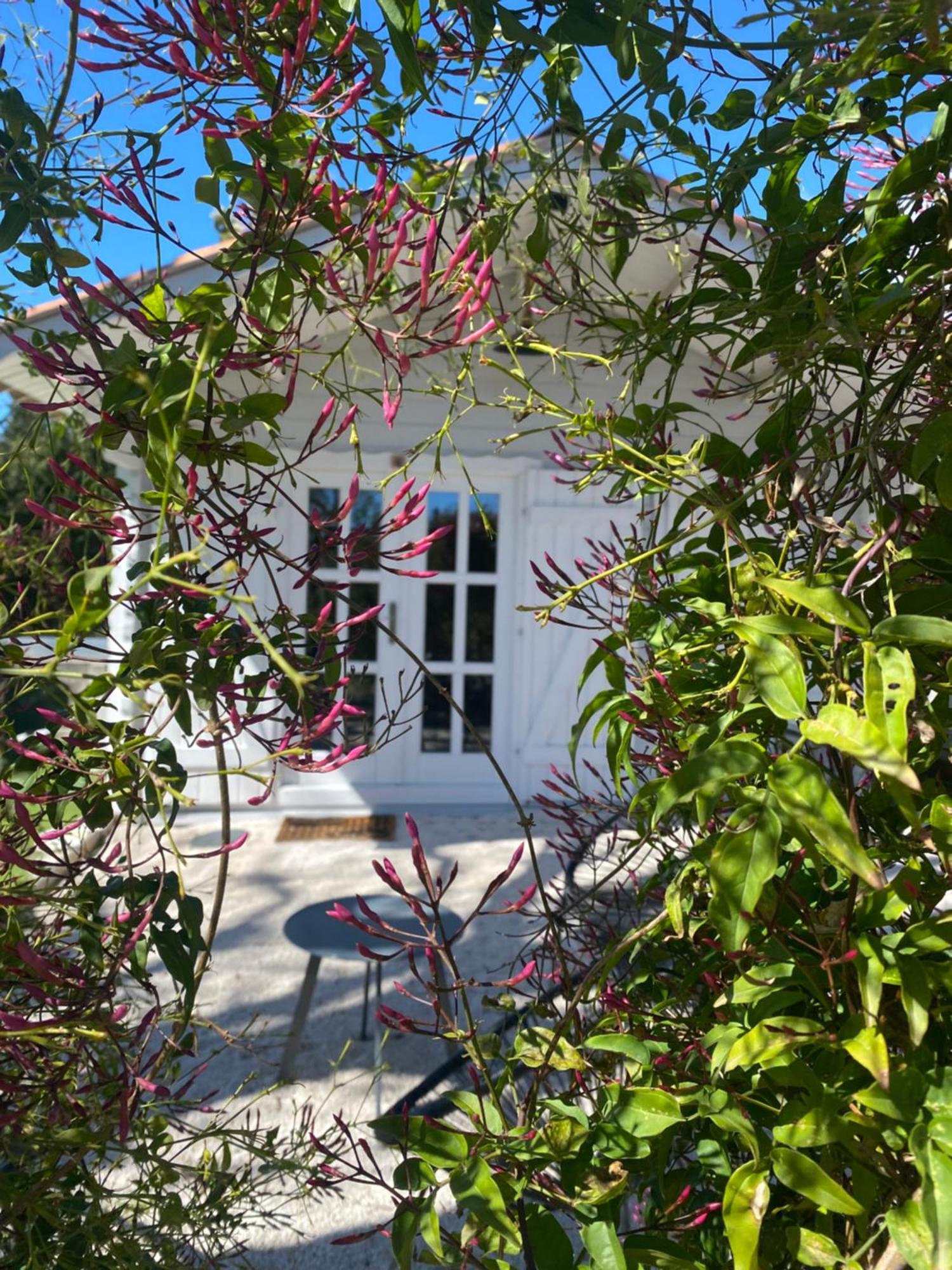 Maison Saint Paul Bnb La Colle-sur-Loup Bagian luar foto